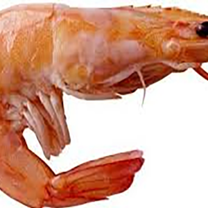 Dry Tiger Prawn