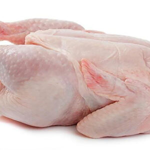 Broiler (Hard Chicken)