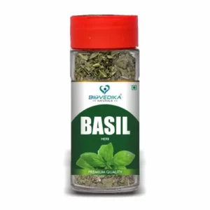Basil (Per pack)